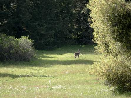 Name:  JenkelWoods.jpeg
Views: 1255
Size:  26.3 KB