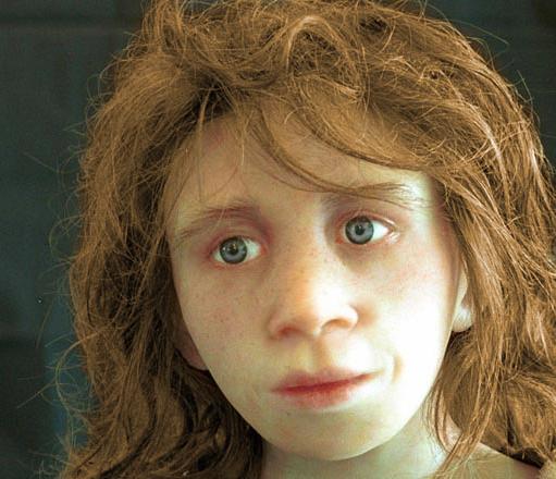 Name:  neanderthal.jpg
Views: 1465
Size:  39.9 KB