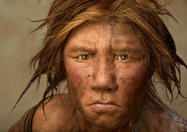 Name:  neanderthal-615.jpg
Views: 1502
Size:  112.5 KB