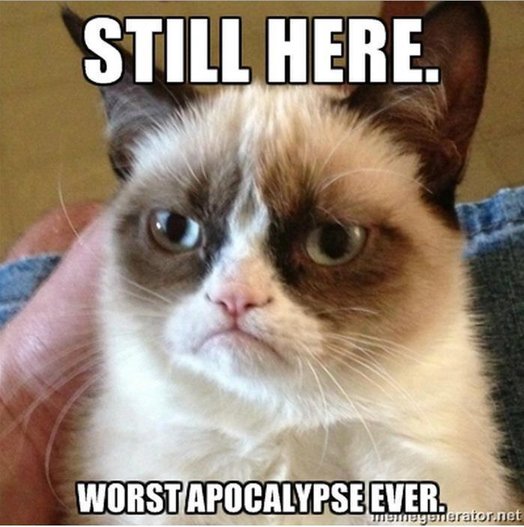 Name:  rszgrumpycatapocalypse.jpg
Views: 1167
Size:  56.3 KB