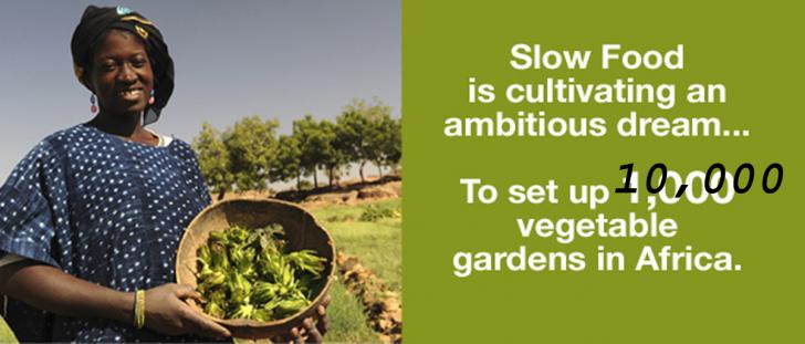 Name:  10000gardensafrica.jpg
Views: 946
Size:  35.0 KB