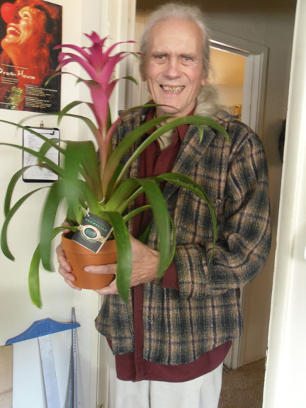 Name:  CB:bromeliad.jpg
Views: 995
Size:  219.5 KB