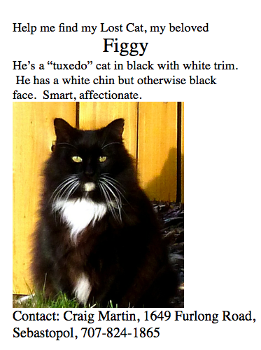 Name:  FIGGY lost poster.png
Views: 2036
Size:  159.3 KB