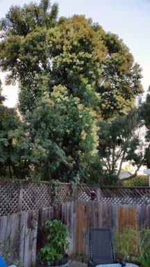 Name:  20140702_194648.jpg
Views: 1544
Size:  47.8 KB
