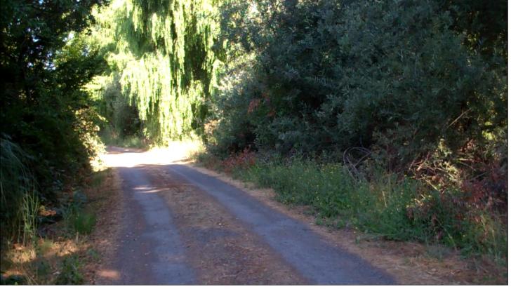 Name:  county road.jpg
Views: 1279
Size:  57.7 KB