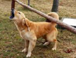 Name:  2015-03-04_1449.png
Views: 2209
Size:  22.9 KB