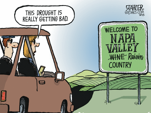 Name:  Raisin Country ....gif
Views: 2265
Size:  96.0 KB