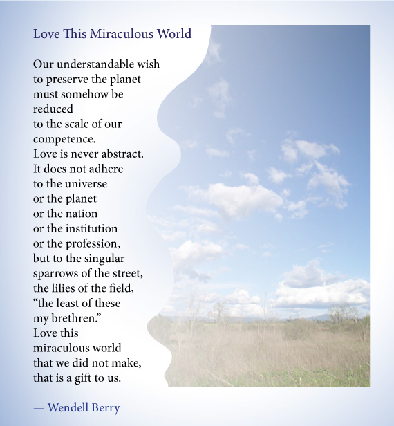 Name:  Wendell-Berry-poem.jpg
Views: 1188
Size:  85.9 KB