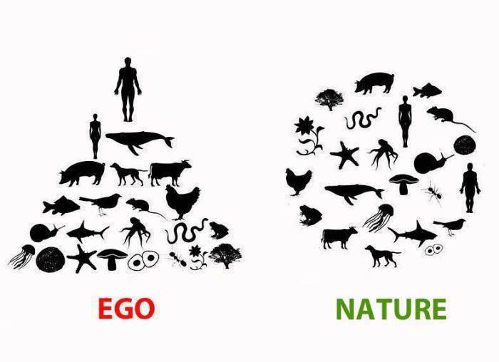 Name:  egoNature.jpg
Views: 945
Size:  34.2 KB