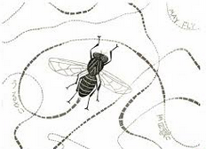 Name:  pod the fly2.png
Views: 1347
Size:  59.0 KB