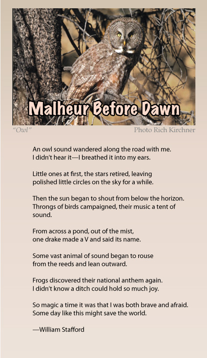 Name:  Before-Dawn_Poem.jpg
Views: 1204
Size:  121.3 KB