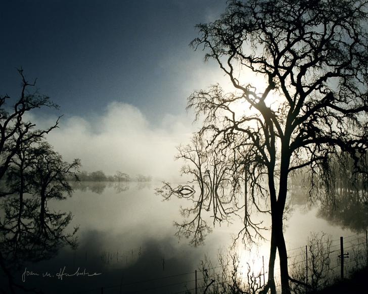 Name:  Breaking Through the Fog-JoanHumberstone-smalest.jpg
Views: 982
Size:  87.9 KB