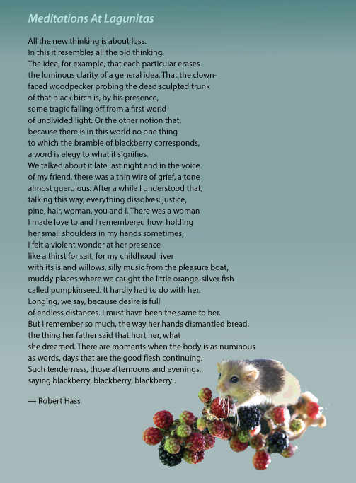 Name:  Bramble-Meditations.jpg
Views: 1111
Size:  182.2 KB