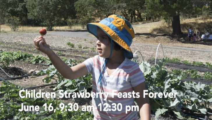 Name:  Strawberry Feasts tb.jpg
Views: 1143
Size:  74.9 KB
