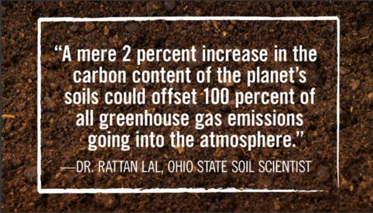 Name:  A mere 2 percent increase in the carbon content - Prof. Rattan Lal (small).jpg
Views: 3829
Size:  73.3 KB