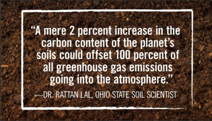 Name:  A mere 2 percent increase in the carbon content - Prof. Rattan Lal (small).jpg
Views: 4671
Size:  73.3 KB