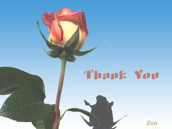 Name:  Rose-Thank-You.jpg
Views: 3574
Size:  122.8 KB