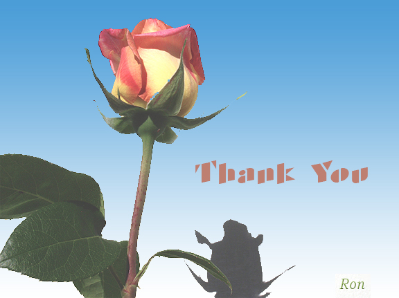 Name:  Rose-Thank-You.jpg
Views: 3554
Size:  122.8 KB