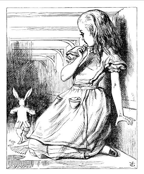 Name:  Alice & Rabbit, Zed.png
Views: 1083
Size:  238.0 KB