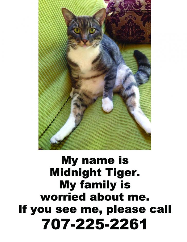 Name:  LostPoster.jpg
Views: 1539
Size:  83.4 KB