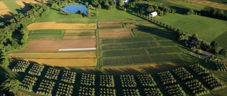 Name:  1-Carbon-Conversations-Agriculture.jpg
Views: 1988
Size:  52.2 KB