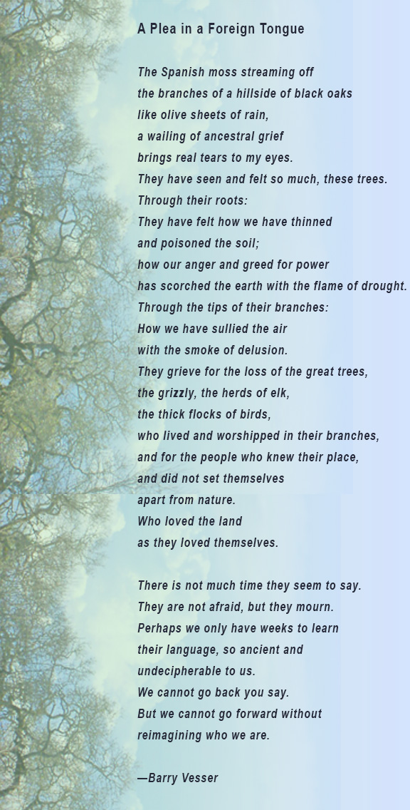 Name:  Among-the-Trees.jpg
Views: 4220
Size:  229.3 KB