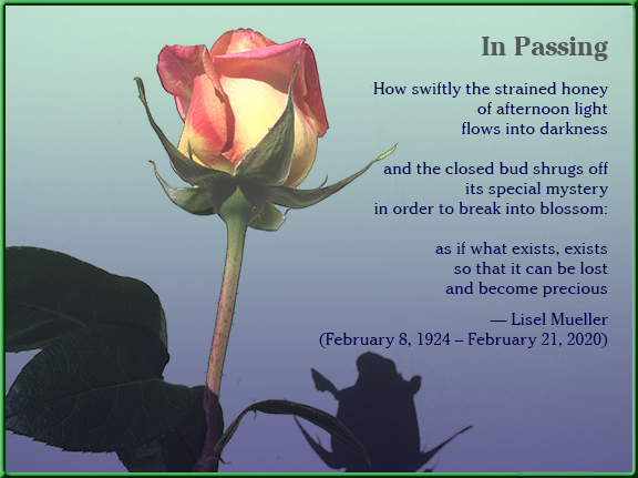 Name:  In-Passing.jpg
Views: 2677
Size:  160.8 KB