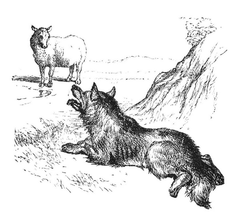 Name:  mutton.png
Views: 1062
Size:  148.7 KB
