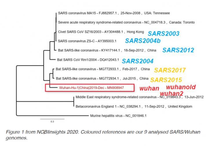 Name:  SARS-COVID-2 Genome.jpg
Views: 812
Size:  44.6 KB