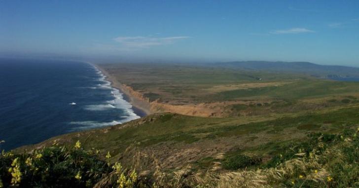 Name:  Pt reyes seashore.jpg
Views: 511
Size:  33.9 KB