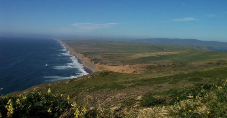 Name:  Pt reyes seashore.jpg
Views: 1638
Size:  33.9 KB