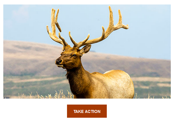 Name:  ALDF petition.png
Views: 5102
Size:  290.4 KB