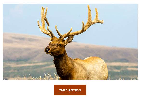 Name:  ALDF petition.png
Views: 3146
Size:  290.4 KB