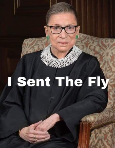 Name:  RBG, I sent the fly.jpg
Views: 1800
Size:  26.1 KB