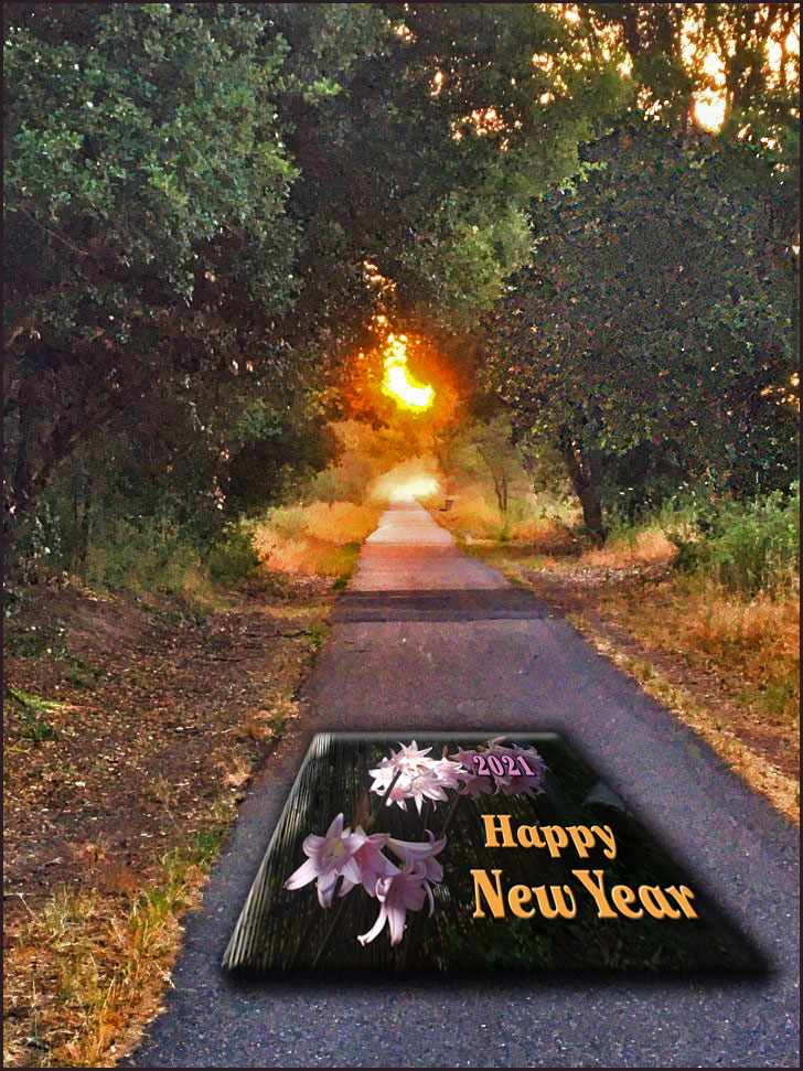 Name:  HNY-2021.jpg
Views: 1295
Size:  218.0 KB