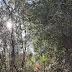 Name:  RiverfrotTrail.jpg
Views: 864
Size:  3.4 KB