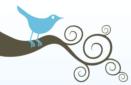 Name:  bluebird-300dpi.jpg
Views: 95
Size:  36.5 KB