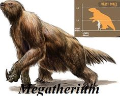 Name:  b3a73cb991f2fd1c0bae6c4afbd31461--prehistoric-animals-prehistory.jpg
Views: 1065
Size:  11.8 KB