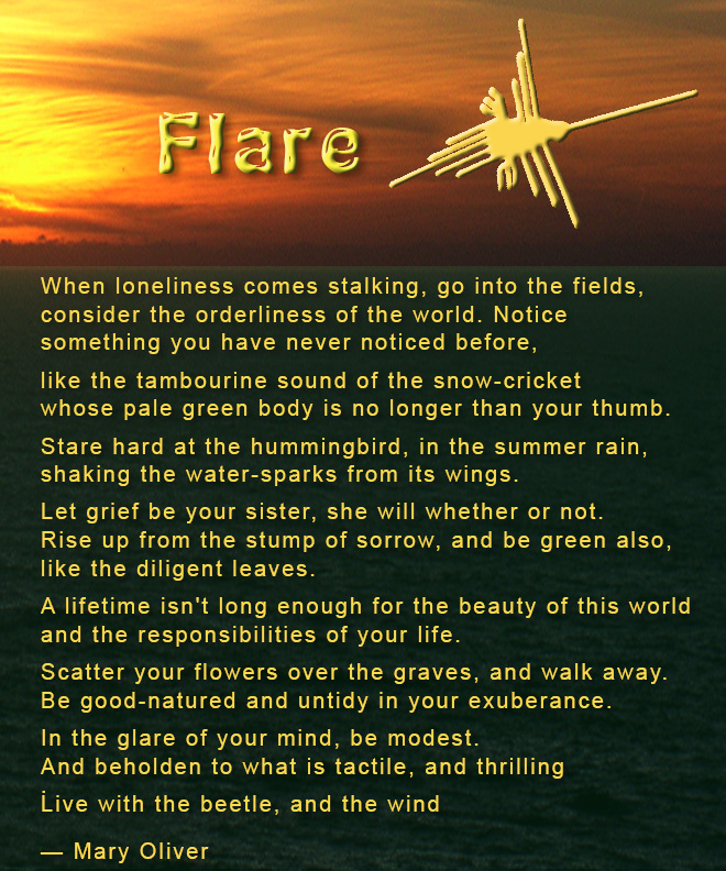 Name:  flare-poem.jpg
Views: 807
Size:  294.8 KB