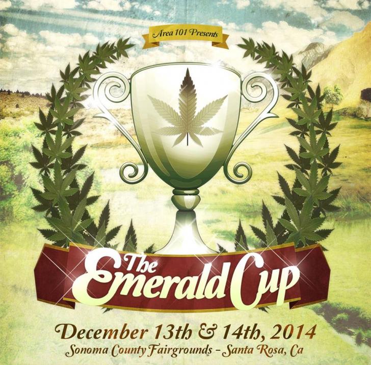 Name:  Emeral Cup 2014.jpg
Views: 1225
Size:  102.4 KB