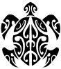 kolibri's Avatar
