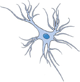 Glia's Avatar