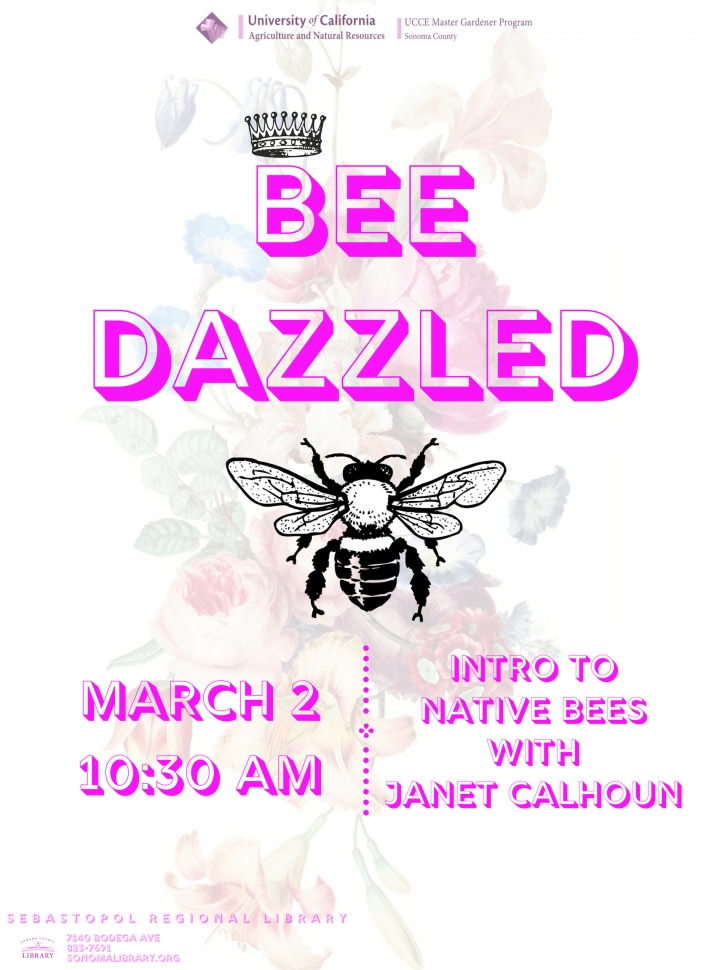 Work Master Gardeners Bee Dazzled An Intro To Native Bees Free Gardening Work Presented By Uc Master Gardener Program Of Sonoma County The Speaker For January S Bee Dazzled An Intro To Native Bees